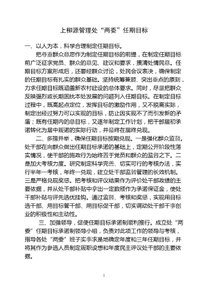 两委任期目标和年度计划.docx