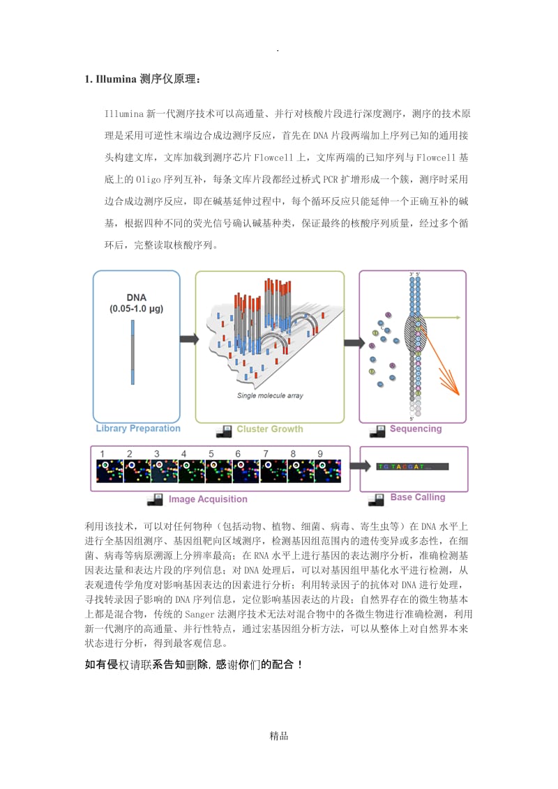 Ilumina测序原理.doc_第1页