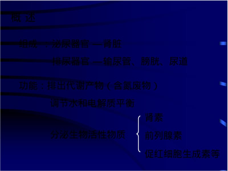 第十六章泌尿系统.pdf_第3页