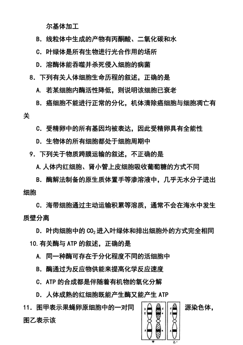 河南省洛阳市高三上学期第一次统一考试生物试题及答案1.doc_第3页