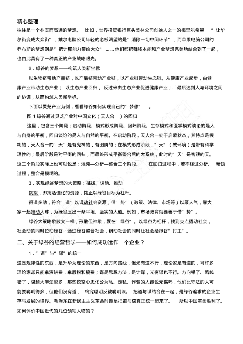 绿谷企业战略方案概要.pdf_第3页