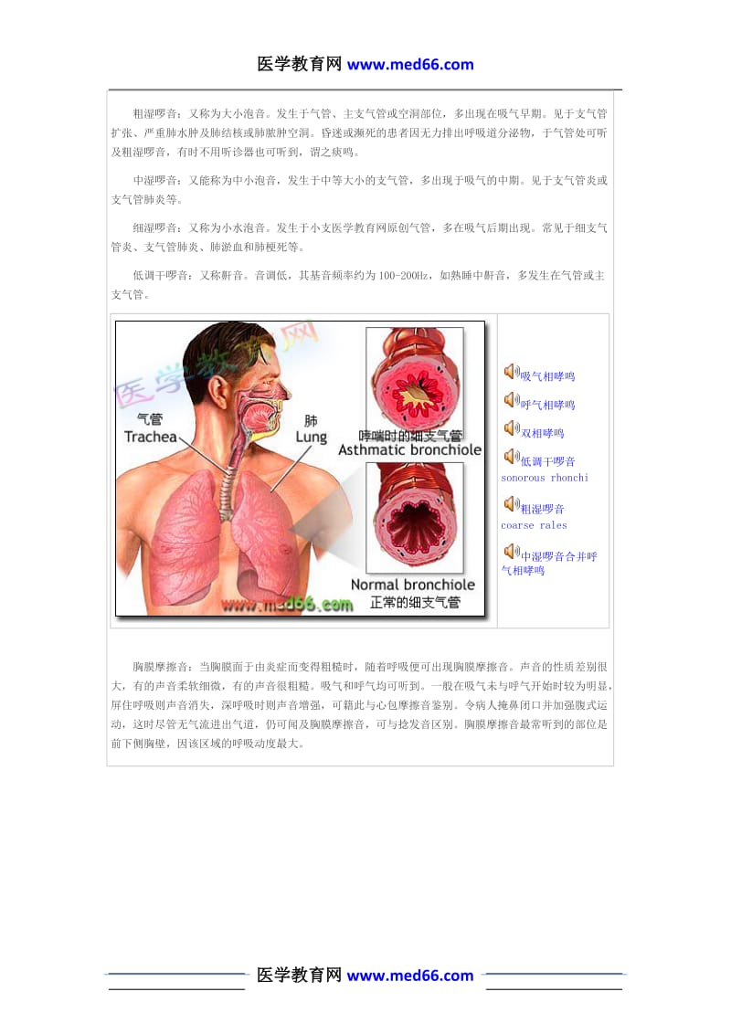 实践技能心肺听诊经典辅导资料.doc_第2页