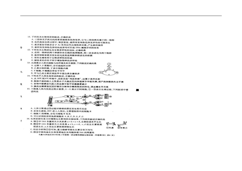 新疆乌鲁木齐地区高三下学期第一次诊断性测验生物试题及答案.doc_第2页