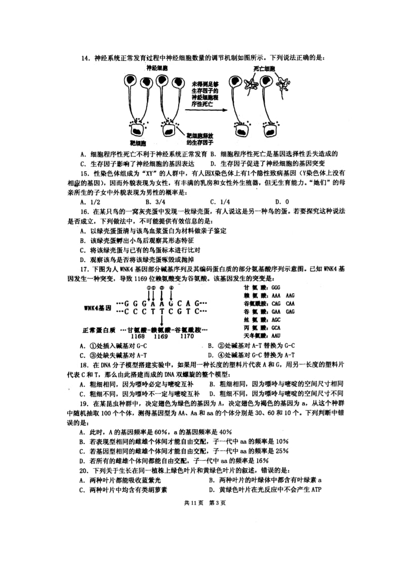 全国中学生生物学竞赛(江西赛区)高中组预赛试题及答案.doc_第3页