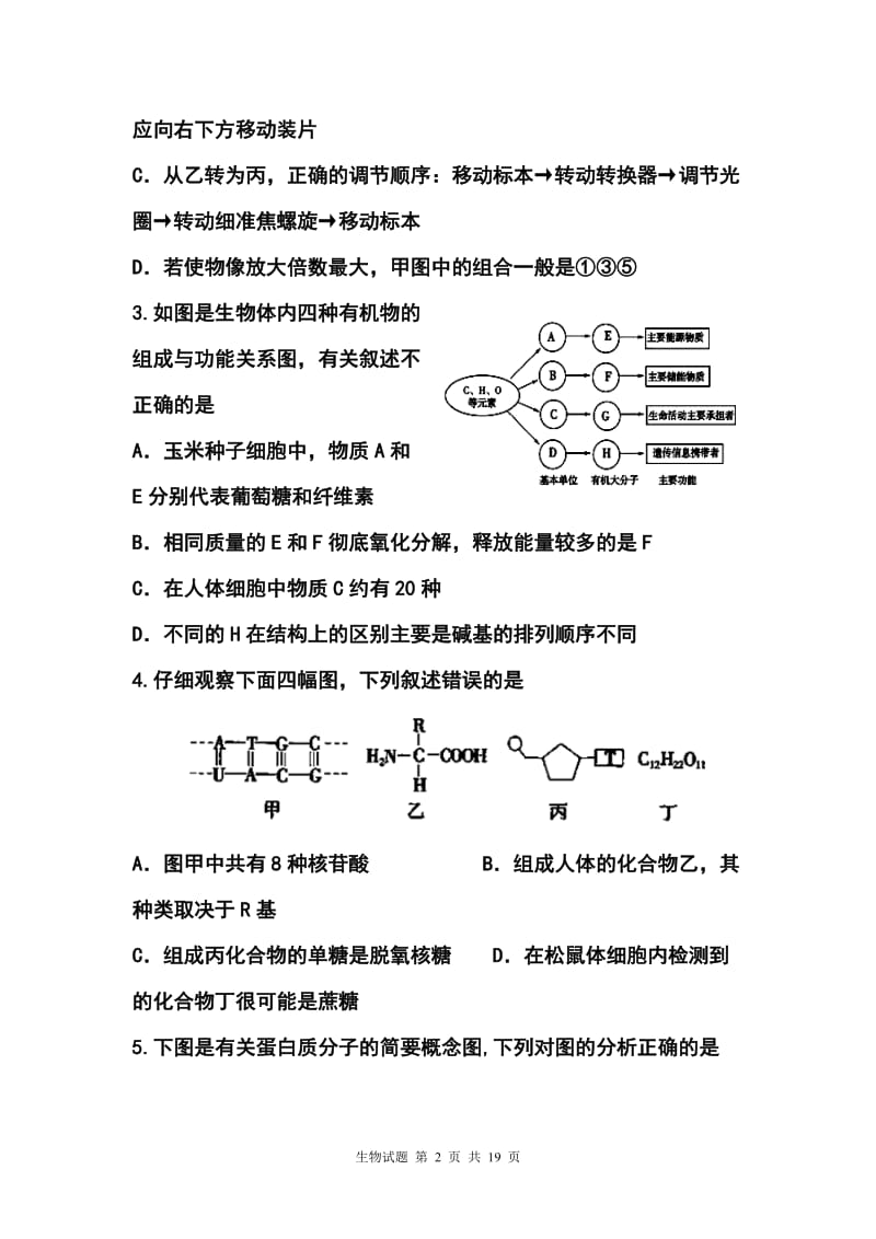 甘肃省嘉峪关一中高三上学期联考生物试题及答案.doc_第2页