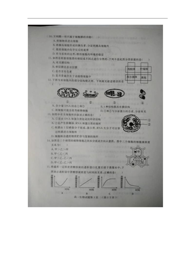 山东省济宁市2014-2015学年高一上学期模块测试(期末)生物试题及答案.pdf_第3页