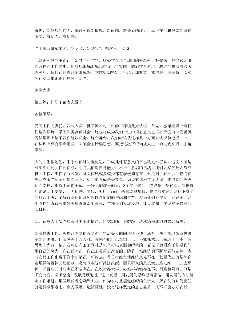 挂职干部表态发言(精选多篇).doc_第2页