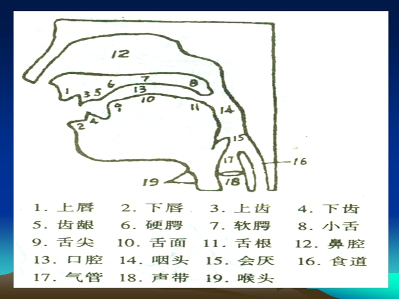 普通话韵母培训.ppt_第2页