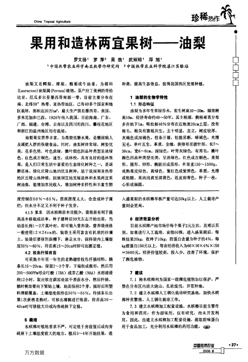 果用和造林两宜果树——油梨.pdf_第1页