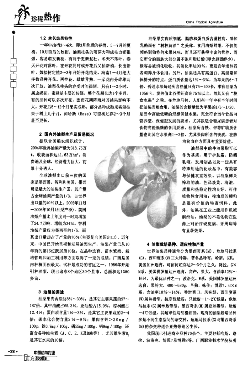 果用和造林两宜果树——油梨.pdf_第2页