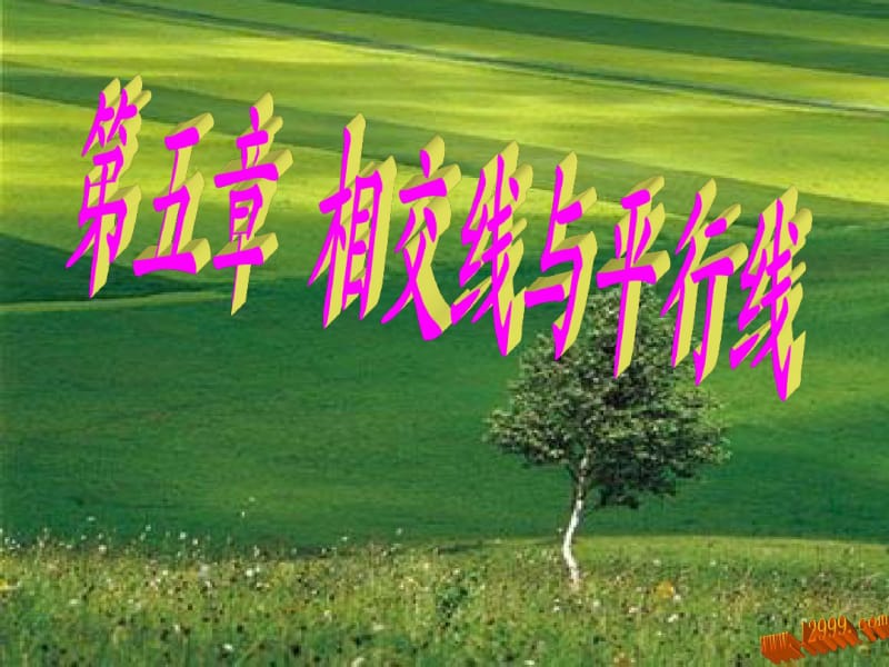 2013年人教版七年级下数学期末综合复习(共2课时)课件ppt.pdf_第3页