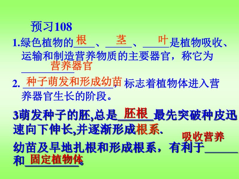 6.2营养器官的生长资料.pdf_第3页