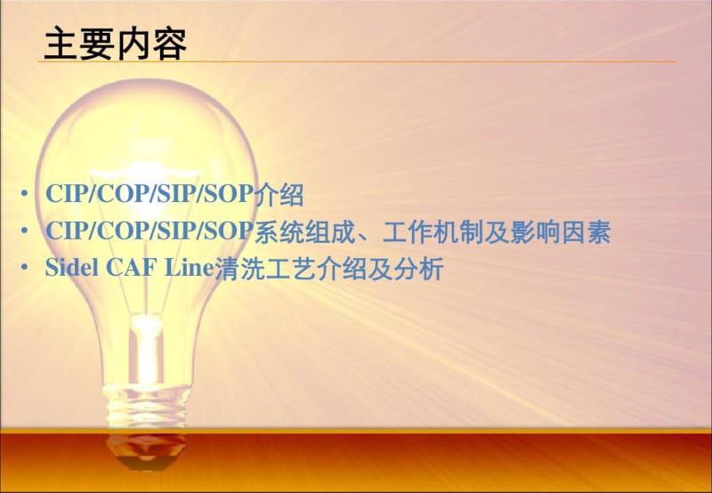 CIPCOPSIPSOP工艺介绍及其影响因素资料.pdf_第3页