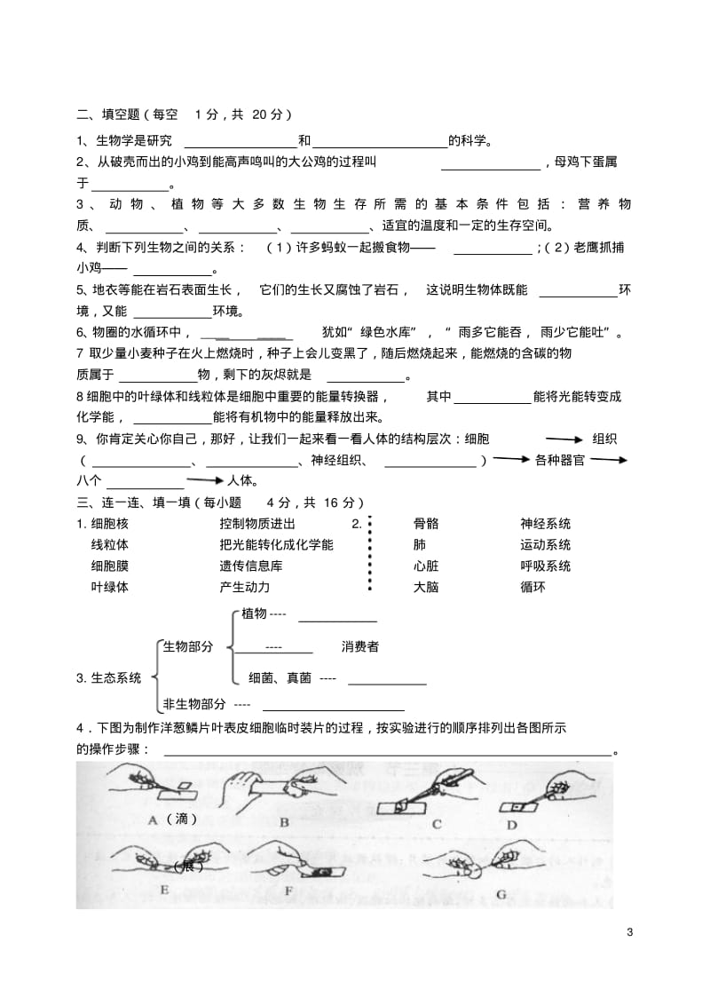 七年级生物上册期中试卷人教新课标版.pdf_第3页