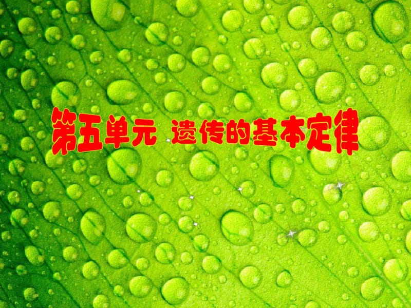 高中生物——遗传的基本定律ppt.pdf_第1页