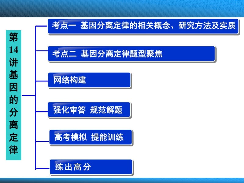 高中生物——遗传的基本定律ppt.pdf_第2页