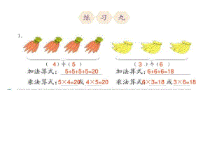 人教二年级数学上册课本练习九PPT剖析.pdf