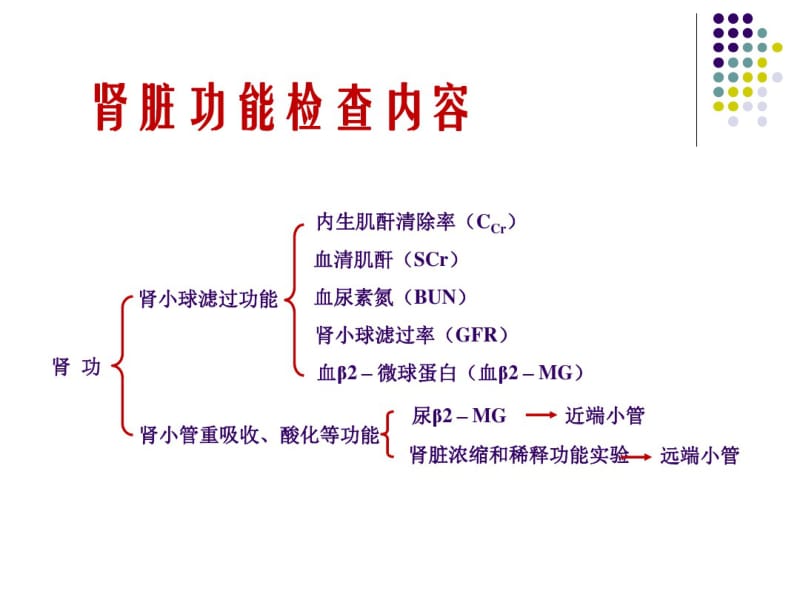 常规实验室检查解读-肾功剖析.pdf_第3页