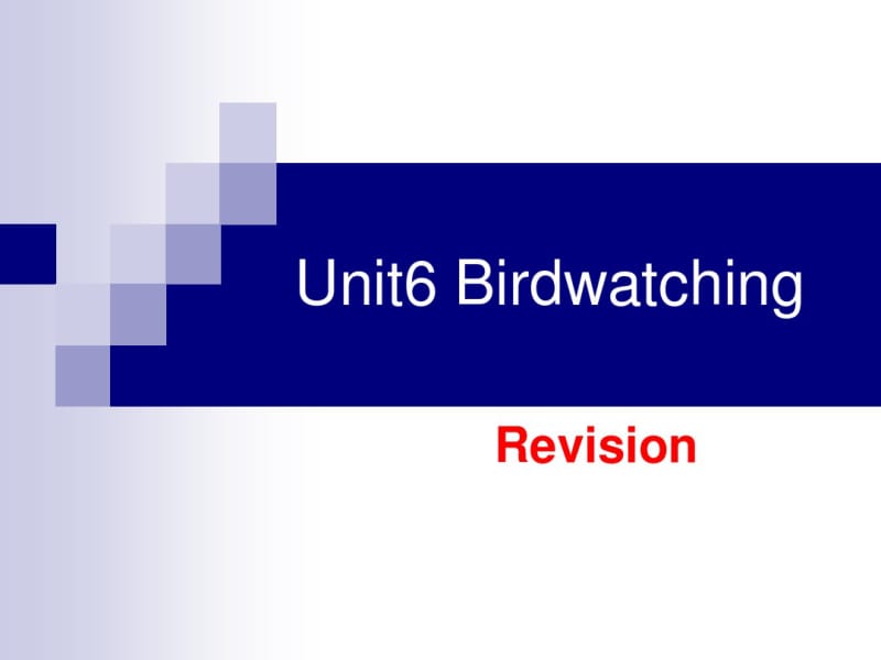 牛津译林版8AUnit6BirdwatchingRevision课件(共28张PPT).pdf_第1页