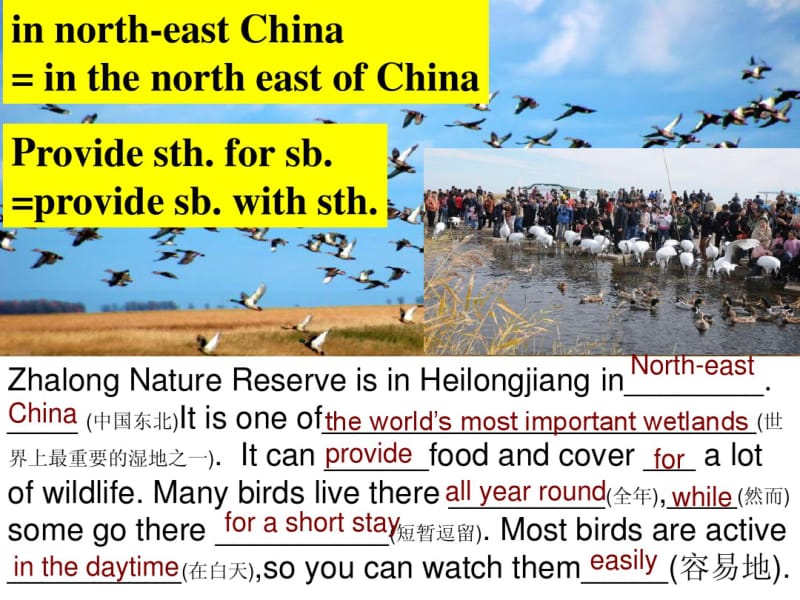 牛津译林版8AUnit6BirdwatchingRevision课件(共28张PPT).pdf_第3页