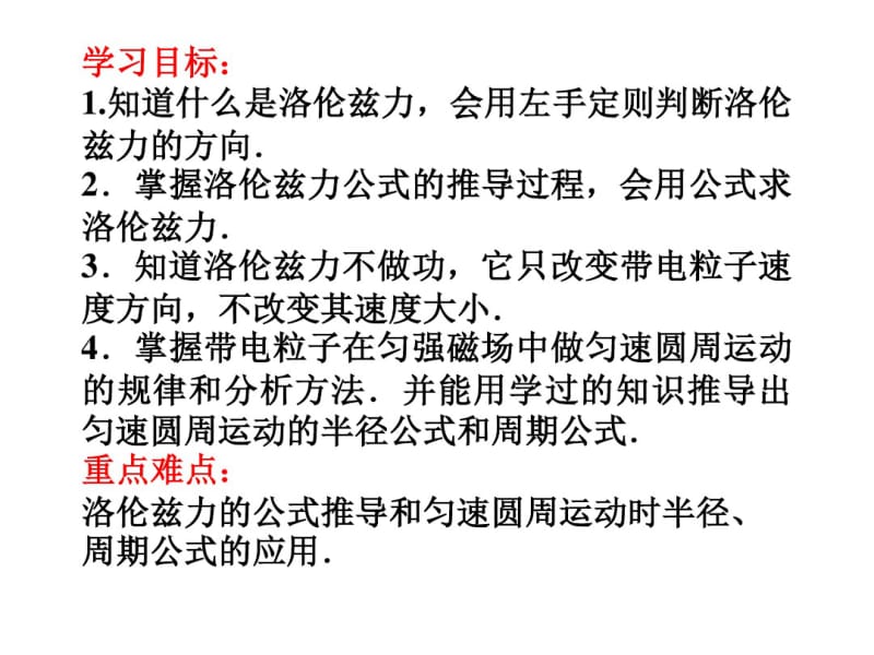 磁场对运动电荷的作用——洛伦兹力资料.pdf_第2页