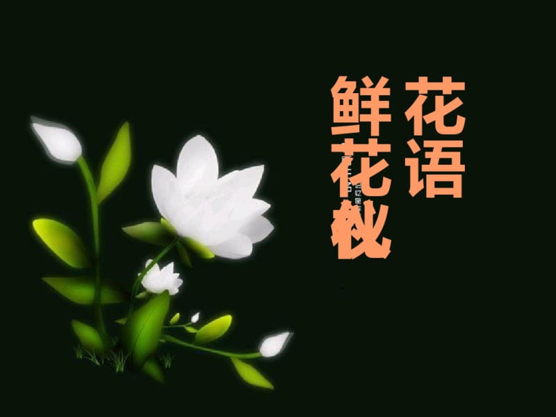 花语及鲜花礼仪.pdf_第1页