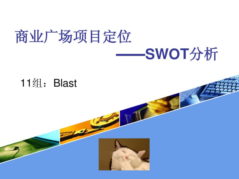 商业地产项目定位SWOT分析.pdf_第1页
