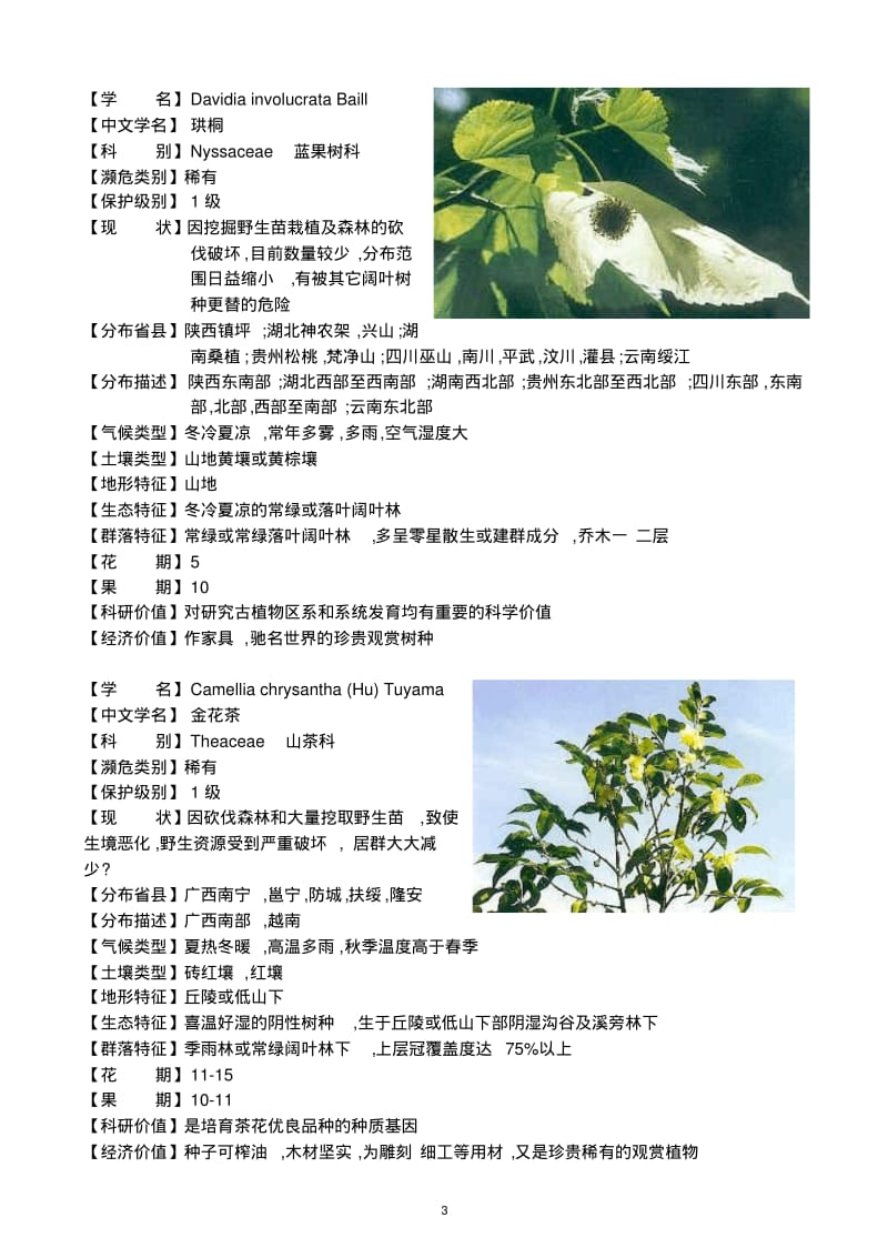 珍稀植物资料要点.pdf_第3页