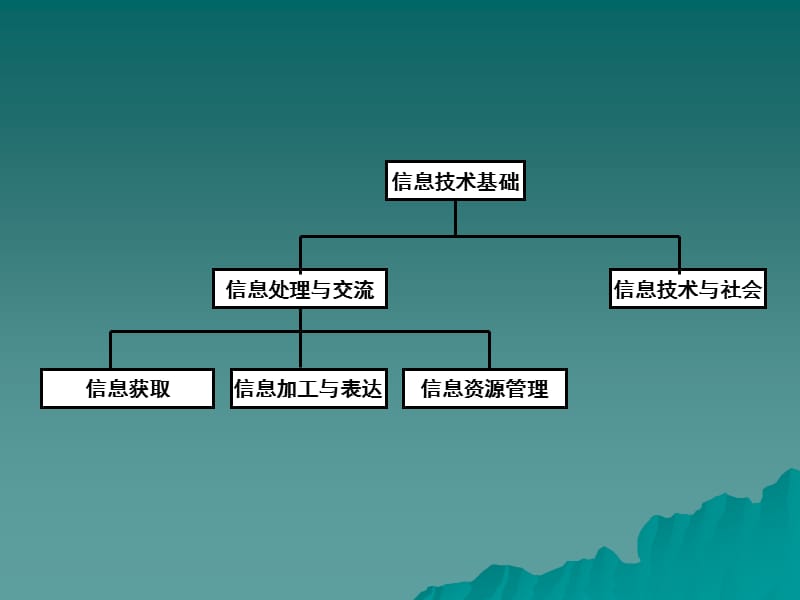 信息加工与表达.ppt_第1页