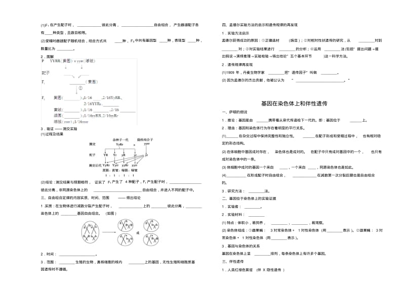 高中生物必修二知识点填空..pdf_第2页