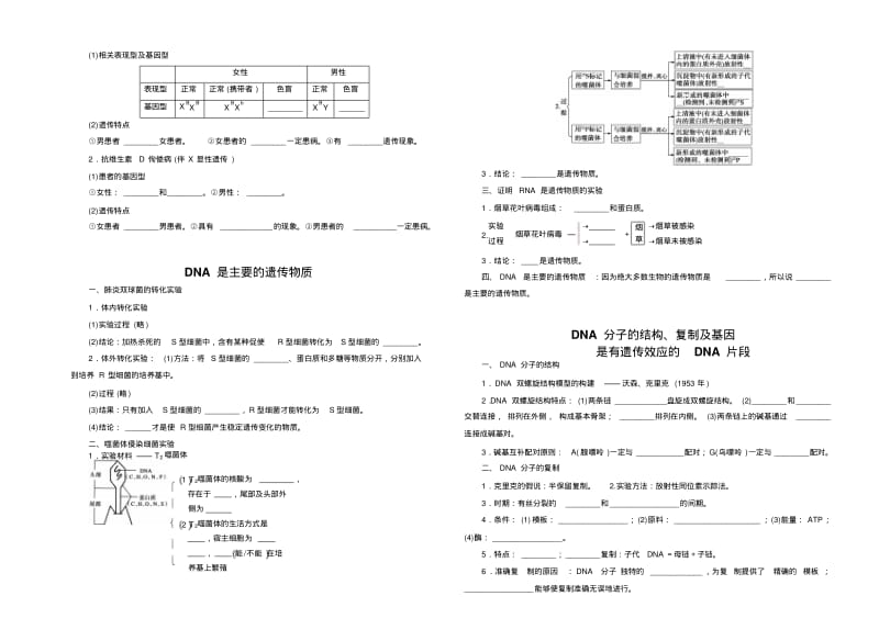 高中生物必修二知识点填空..pdf_第3页