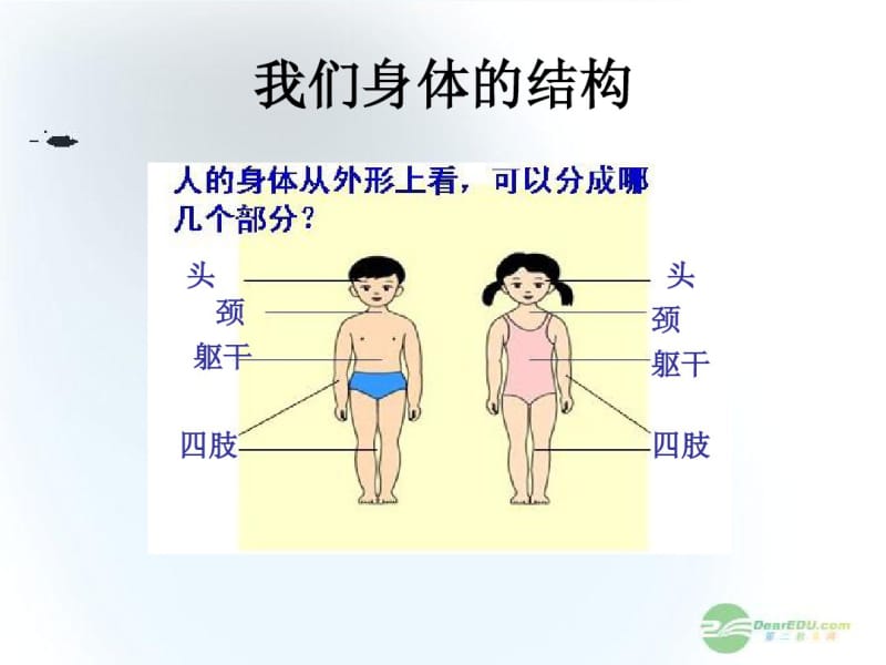 (青岛版五年制)五年级科学上册课件我们的身体3.pdf_第2页