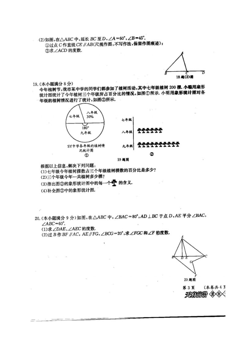 天府数学七年级下册期中考试卷.pdf_第3页