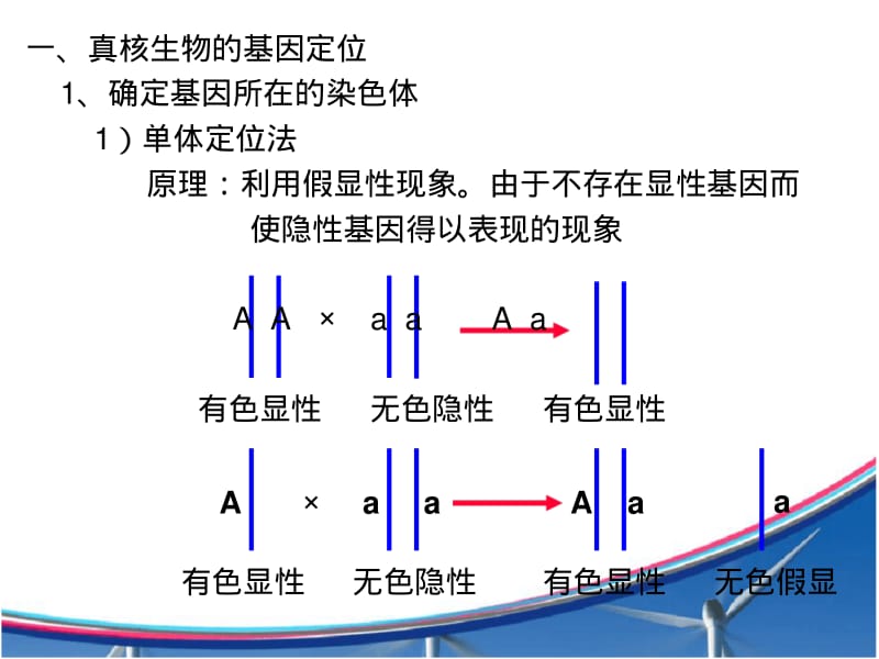 基因定位.pdf_第2页