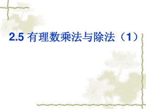 2.5有理数的乘法与除法(1).pdf