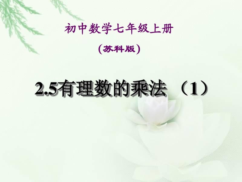 2.5有理数乘法与除法(1).pdf_第1页