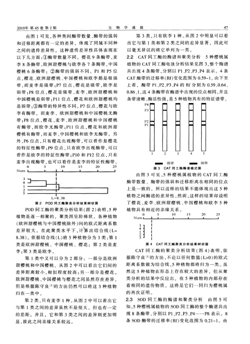 高中生物教学论文5种樱桃属植物的POD、CAT和SOD同工酶分析(pdf).pdf_第2页