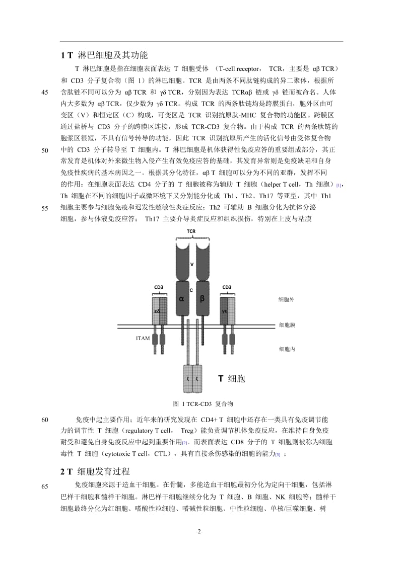 TCR信号传导与T细胞的阳性选择和阴性选择.doc_第2页