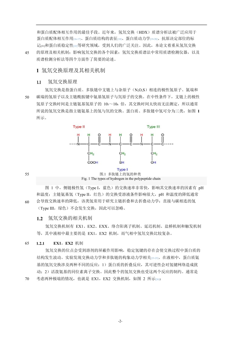 H_D交换质谱分析法在结构生物学研究中的应用.doc_第2页