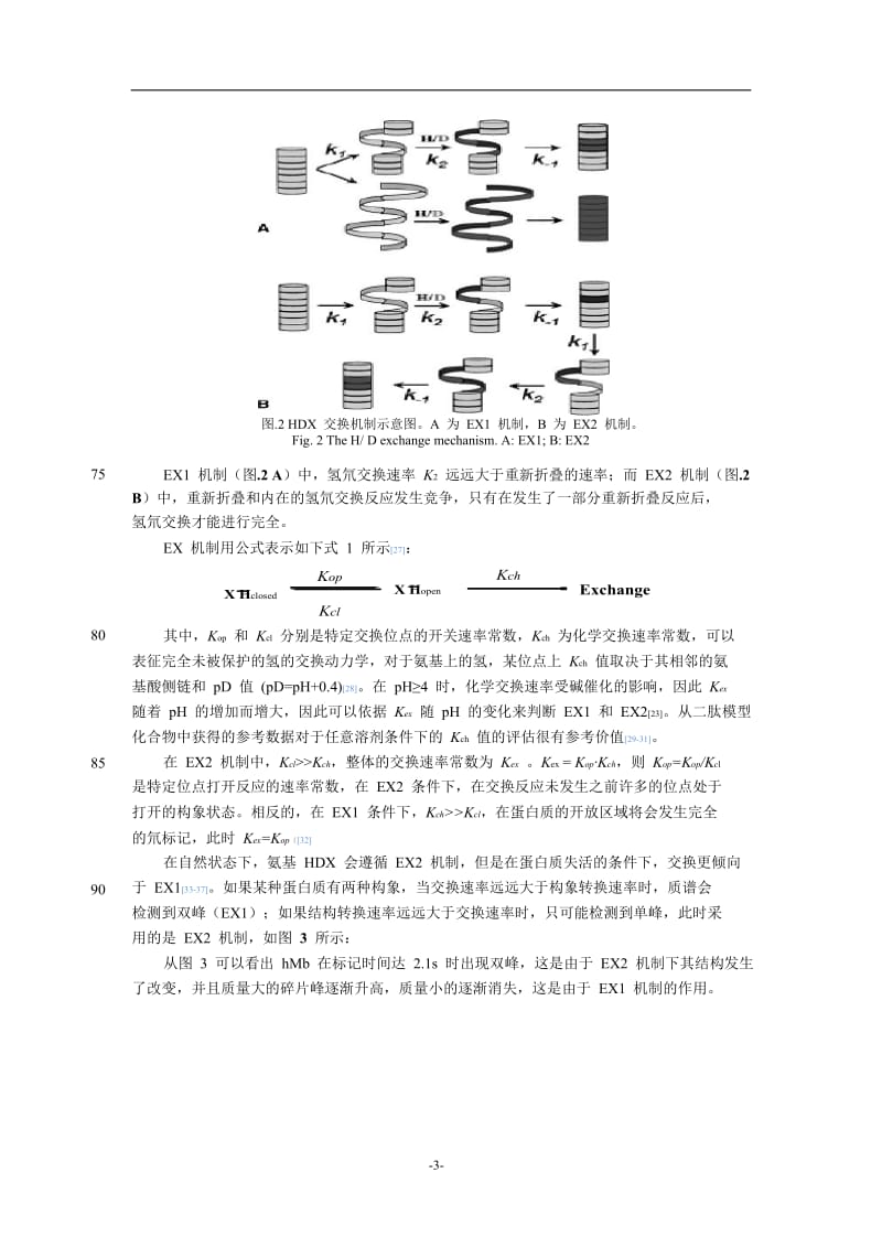 H_D交换质谱分析法在结构生物学研究中的应用.doc_第3页