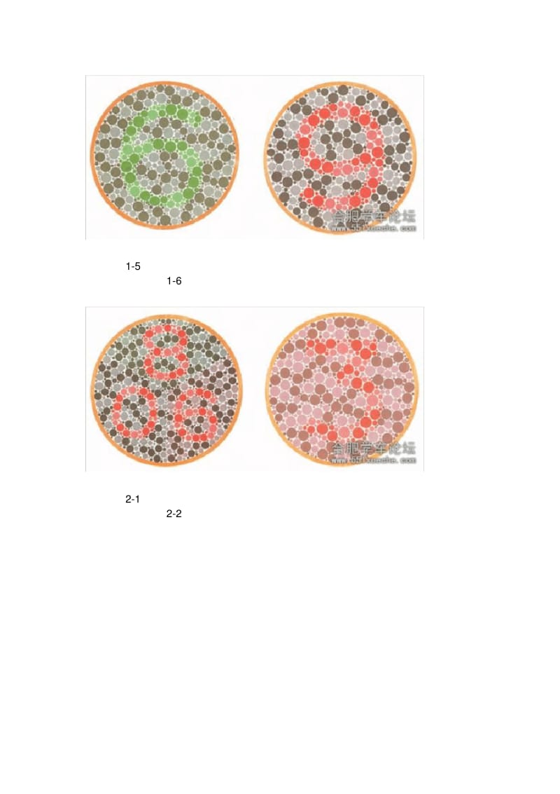 红绿色盲测试图(转).pdf_第2页