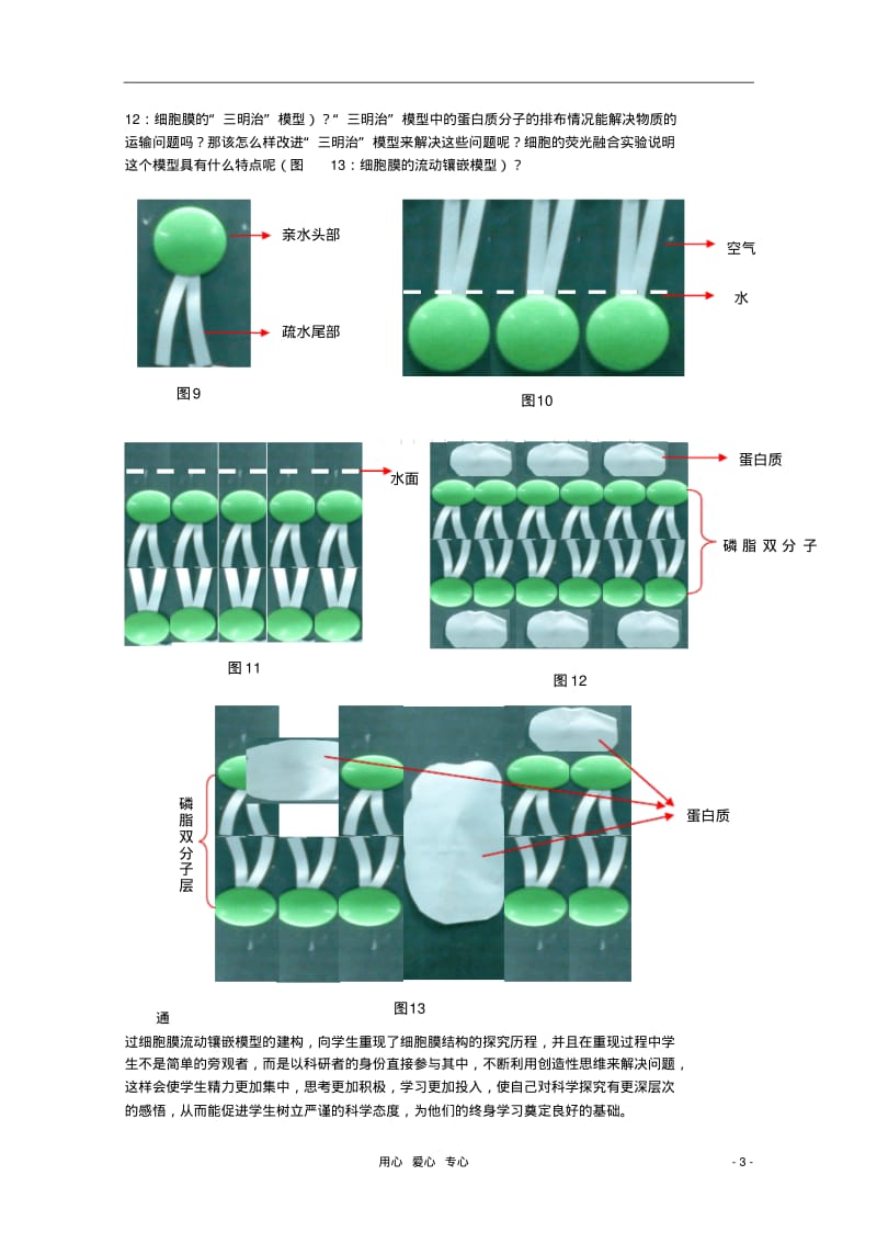 湖南省高中生物教学论文新课改背景下的模型建构.pdf_第3页