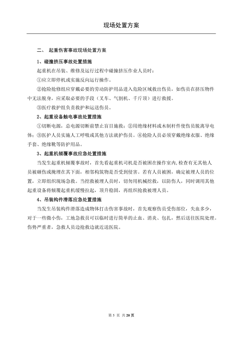 常见常用事故现场处置方案汇编.doc_第3页