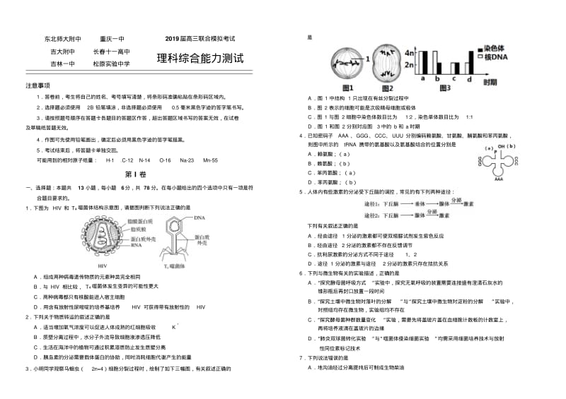 东北师大附中、重庆一中等六校2019届高三1月联考(期末)理科综合试题.pdf_第1页