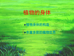 小学科学四年级上册《植物的身体》精品课件.pdf