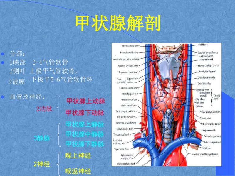 甲状腺结节治.pdf_第2页