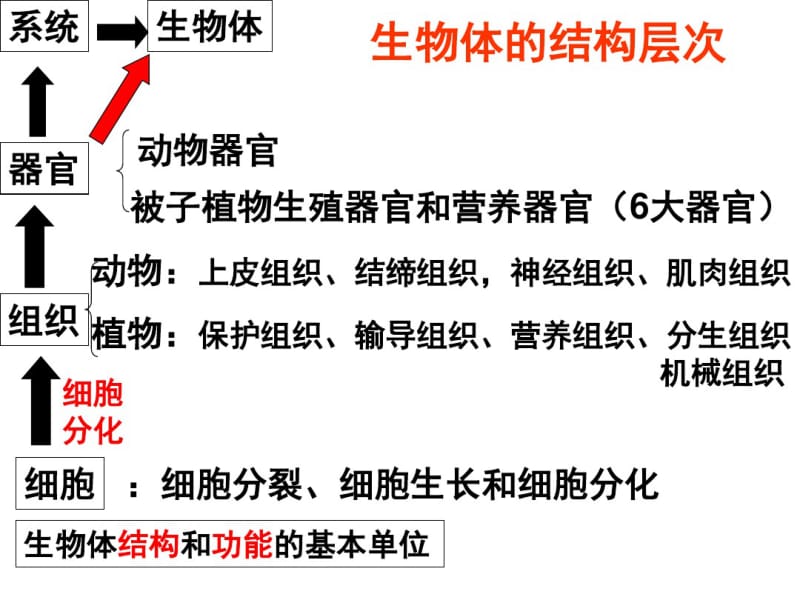 生物的适应性.pdf_第1页