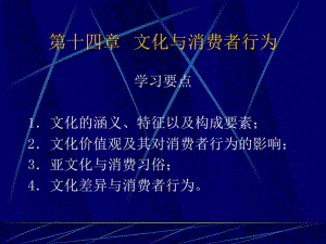 消费者行为学-第十四章文化与消费者行为.pdf