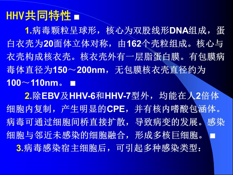 人类疱疹病毒.ppt_第3页