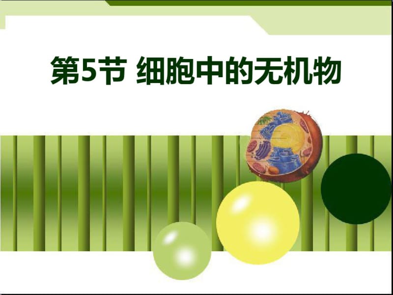 人教版高中生物必修一第二章第五节细胞中的无机物教学课件(4).pdf_第1页